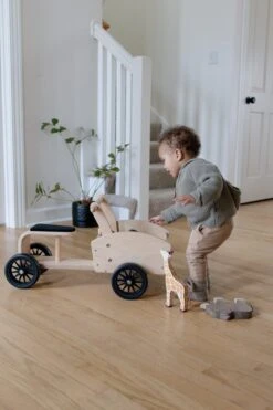 Kinderfüße Cargo Bike -Djeco Geschaft 0850007036454 5