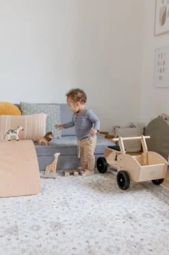 Kinderfüße Cargo Bike -Djeco Geschaft 0850007036454 6