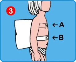 Schlori - Schwimmkissen -Djeco Geschaft 4042483000012 8