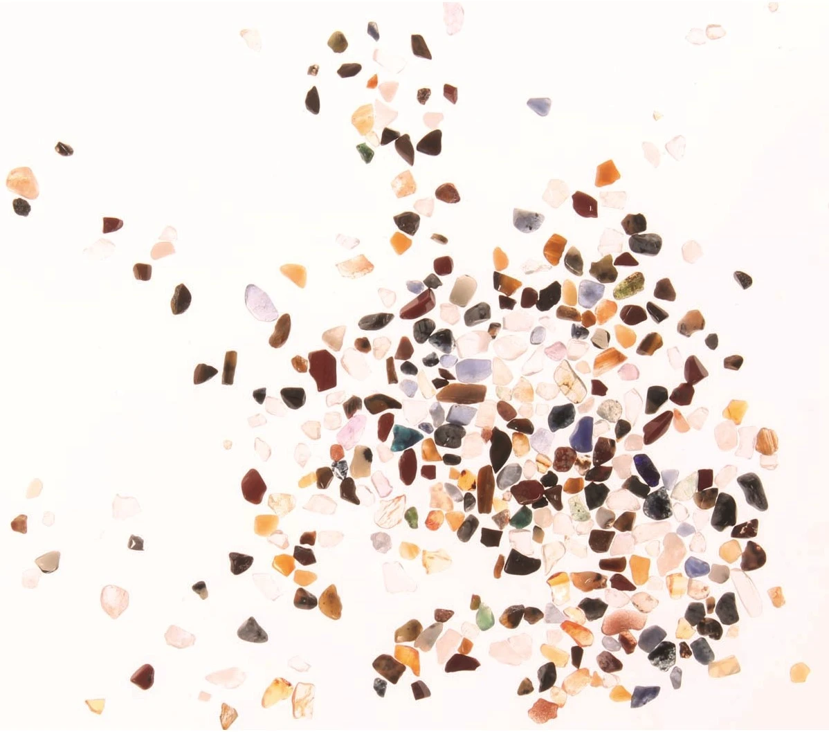 Grimm's - Rasselfisch Wilma 6 Grimm's - Rasselfisch Wilma – Bild 4