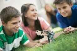 4M Green Science Robot Solarny 7 4M Green Science Robot Solarny -Djeco Geschaft 4m green science robot solarny 3