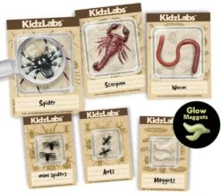 4M KidzLabs Ausgrabungsset - Insekten 7 4M KidzLabs Ausgrabungsset - Insekten -Djeco Geschaft 4m kidzlabs ausgrabungsset insekten 3