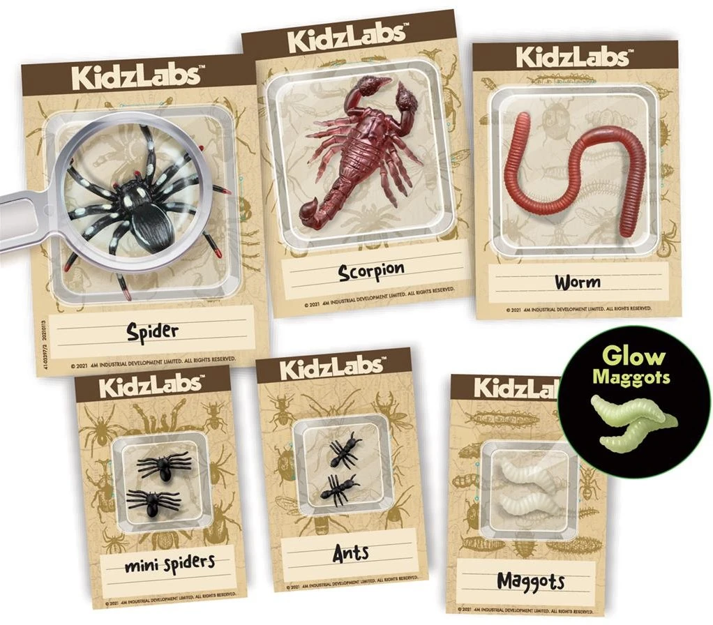 4M KidzLabs Ausgrabungsset - Insekten 5 4M KidzLabs Ausgrabungsset - Insekten – Bild 3