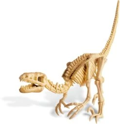 4M KidzLabs:  GRAAF-JE-DINOSAURUS-OP (Velociraptor), skeletbouwset in een blok Plaaster, doos 17x22x6cm, 8+ -Djeco Geschaft 4m kidzlabs graaf je dinosaurus op velociraptor skeletbouwset in een blok plaaster doos 17x22x6cm 8plus 2