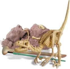 4M KidzLabs:  GRAAF-JE-DINOSAURUS-OP (Velociraptor), skeletbouwset in een blok Plaaster, doos 17x22x6cm, 8+ -Djeco Geschaft 4m kidzlabs graaf je dinosaurus op velociraptor skeletbouwset in een blok plaaster doos 17x22x6cm 8plus 3