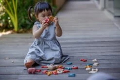 Plan Toys PlanToys Holzspielzeug Großbuchstaben Alphabet 16 Plan Toys PlanToys Holzspielzeug Großbuchstaben Alphabet -Djeco Geschaft 5406 3