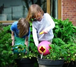 Quut Ballo Bungee Grey -Djeco Geschaft 5425031170136 7