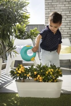 Quut Cana Large Vintage Blue -Djeco Geschaft 5425031170570 5