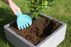 Quut Raki Bungee Grey -Djeco Geschaft 5425031170747 4