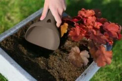 Quut Raki Bungee Grey -Djeco Geschaft 5425031170747 5