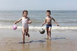 Quut Mini Ballo Mineral Grün -Djeco Geschaft 5425031171188 1