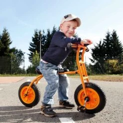 Top Trike Lernfahrrad Top Bike -Djeco Geschaft 64200 4