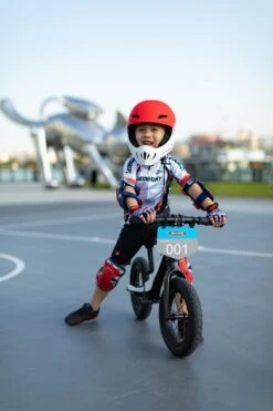 Micro Mobility GB0031 Micro Balance Bike Deluxe Pro Laufrad, Schwarz-Weiß -Djeco Geschaft 7630053527204 6