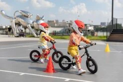 Micro Mobility GB0031 Micro Balance Bike Deluxe Pro Laufrad, Schwarz-Weiß -Djeco Geschaft 7630053527204 7