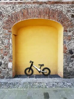 Micro Mobility GB0031 Micro Balance Bike Deluxe Pro Laufrad, Schwarz-Weiß -Djeco Geschaft 7630053527204 9