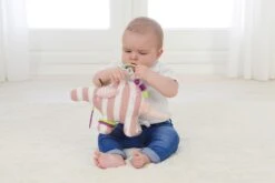 Dolce Primo Aktivitätsspielzeug Ameise Bär Alice - 18 Cm -Djeco Geschaft 8718591951442 3