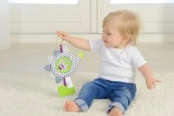 Dolce Primo Aktivitätsumarmer Igel Henri - 21 Cm -Djeco Geschaft 8718591953071 5