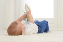 Dolce Primo Aktivitätsspielzeug Chamäleon Leon - 17 Cm 16 Dolce Primo Aktivitätsspielzeug Chamäleon Leon - 17 Cm -Djeco Geschaft 8718591953088 4