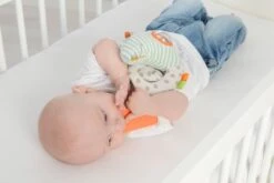 Dolce Primo Aktivitätsspielzeug Chamäleon Leon - 17 Cm 18 Dolce Primo Aktivitätsspielzeug Chamäleon Leon - 17 Cm -Djeco Geschaft 8718591953088 6