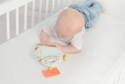 Dolce Primo Aktivitätsspielzeug Chamäleon Leon - 17 Cm 19 Dolce Primo Aktivitätsspielzeug Chamäleon Leon - 17 Cm -Djeco Geschaft 8718591953088 7