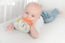 Dolce Primo Aktivitätsspielzeug Chamäleon Leon - 17 Cm 20 Dolce Primo Aktivitätsspielzeug Chamäleon Leon - 17 Cm -Djeco Geschaft 8718591953088 8