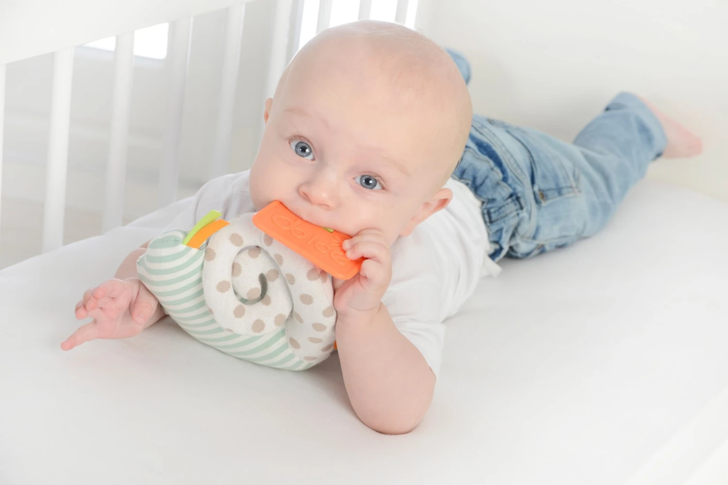 Dolce Primo Aktivitätsspielzeug Chamäleon Leon - 17 Cm 10 Dolce Primo Aktivitätsspielzeug Chamäleon Leon - 17 Cm – Bild 8