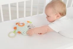 Dolce Primo Aktivitätsspielzeug Chamäleon Leon - 17 Cm 21 Dolce Primo Aktivitätsspielzeug Chamäleon Leon - 17 Cm -Djeco Geschaft 8718591953088 9