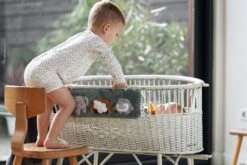 Snoozebaby Activity Patch 11 Snoozebaby Activity Patch -Djeco Geschaft 8719743849570 1