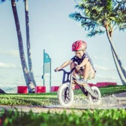 Wishbonebike Laufrad 3-in-1 Recycled -Djeco Geschaft 9421903253132 9