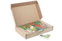 Bajo Reef -Djeco Geschaft 97490 jungle reef box