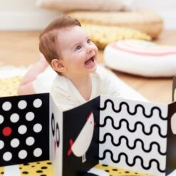 Banana Panda Hoog Contrast Baby Pakket +0 +3m +6m -Djeco Geschaft banana panda hoog contrast baby pakket plus0 plus3m plus6m 3