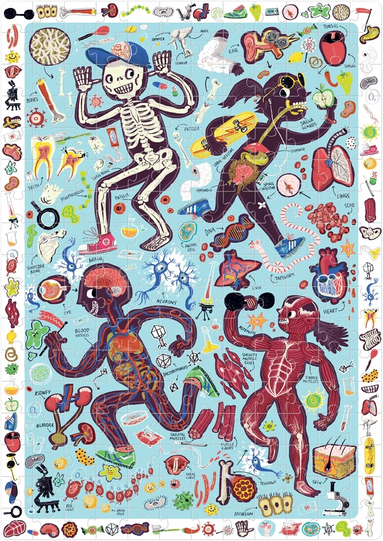 Banana Panda Observatie Puzzel Mijn Lichaam 4 Banana Panda Observatie Puzzel Mijn Lichaam – Bild 2