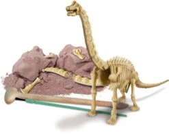 Brachiosaurus Skelett (englische Version) -Djeco Geschaft brachiosaurus skelett englische version 3