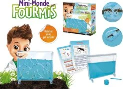 BUKI-KLEINE WERELD VAN MIEREN -Djeco Geschaft buki kleine wereld van mieren 2