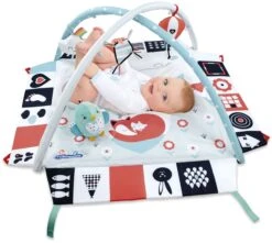 Clementoni Eerste Maanden - Baby Gym