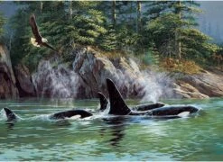 Cobble Hill Puzzle 1000 Teile - Orcas -Djeco Geschaft cobble hill puzzle 1000 teile orcas 2