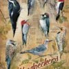 Cobble Hill Puzzle 500 Teile - Woodpeckers -Djeco Geschaft cobble hill puzzle 500 teile woodpeckers