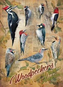 Cobble Hill Puzzle 500 Teile - Woodpeckers