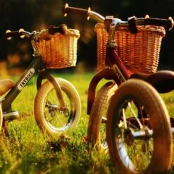 Coconuts Wicker Basket For Trybike Steel -Djeco Geschaft coconuts wicker basket for trybike steel 3