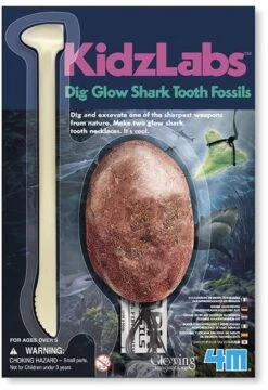 DAM 4M Dig & Play: GRAVE YOUR SHARK'S TAND-OP, Gipsei Mit 2 Phosphoreszierenden Haifischzähnen, Mit Grabwerkzeug Und 2 Halsketten, Blister 22x15cm, 5+