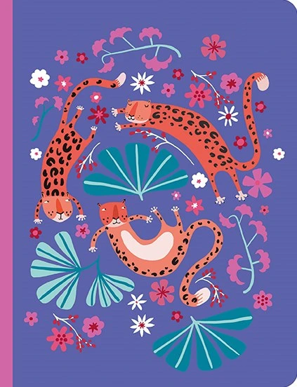 Djeco Cahiers Asa 3 Djeco Cahiers Asa