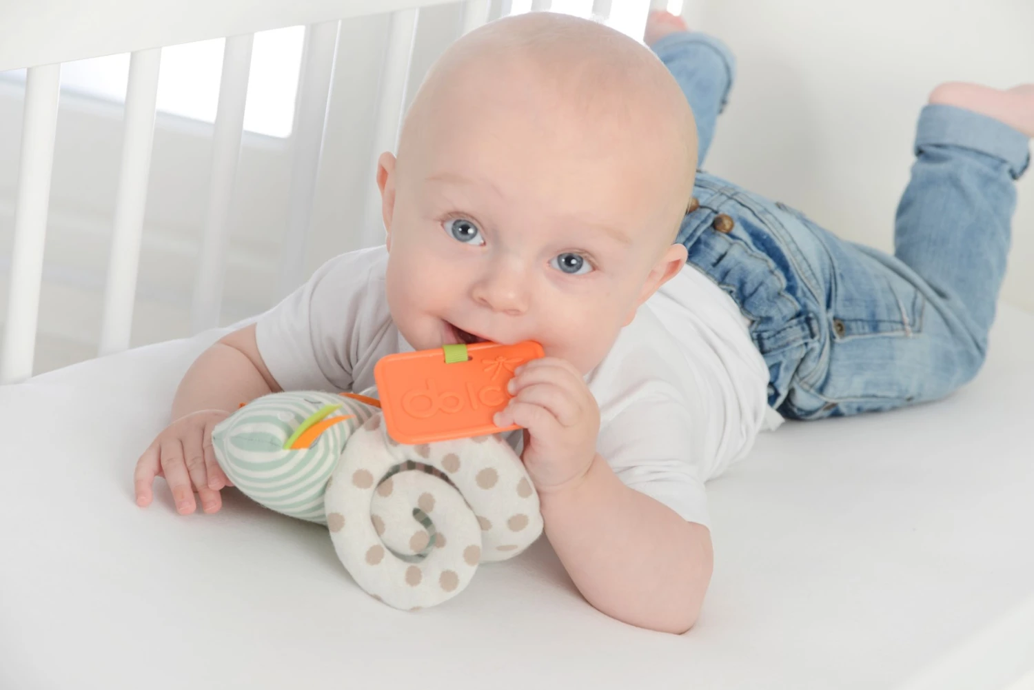 Dolce Primo Aktivitätsspielzeug Chamäleon Leon - 17 Cm 4 Dolce Primo Aktivitätsspielzeug Chamäleon Leon - 17 Cm – Bild 2