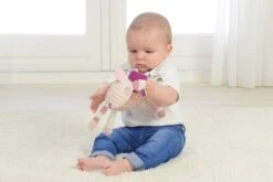 Dolce Primo Aktivitätsspielzeug Kamel Claire - 31 Cm -Djeco Geschaft dolce primo aktivitaetsspielzeug kamel claire 31 cm 3