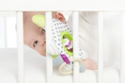 Dolce Primo Aktivitätsumarmer Igel Henri - 21 Cm -Djeco Geschaft dolce primo aktivitaetsumarmer igel henri 21 cm 3