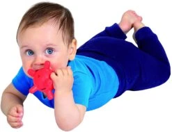 Edushape Gummy Beißring - 1 Stück -Djeco Geschaft edushape gummy beissring 1 stueck 3