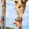 Eurographics Puzzle Giraffen - 250 Teile -Djeco Geschaft eurographics puzzle giraffen 250 teile