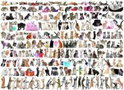 Eurographics Puzzle Katze - 2000 Teile -Djeco Geschaft eurographics puzzle katze 2000 teile 2