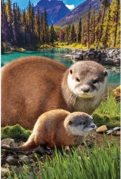 Eurographics Puzzle Otter - 250 XL Teile -Djeco Geschaft eurographics puzzle otter 250 xl teile 2