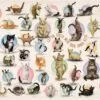 Eurographics Puzzle Yoga Kittens - 500 Teile -Djeco Geschaft eurographics puzzle yoga kittens 500 teile
