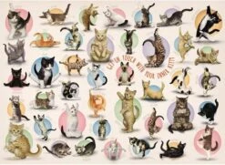 Eurographics Puzzle Yoga Kittens - 500 Teile